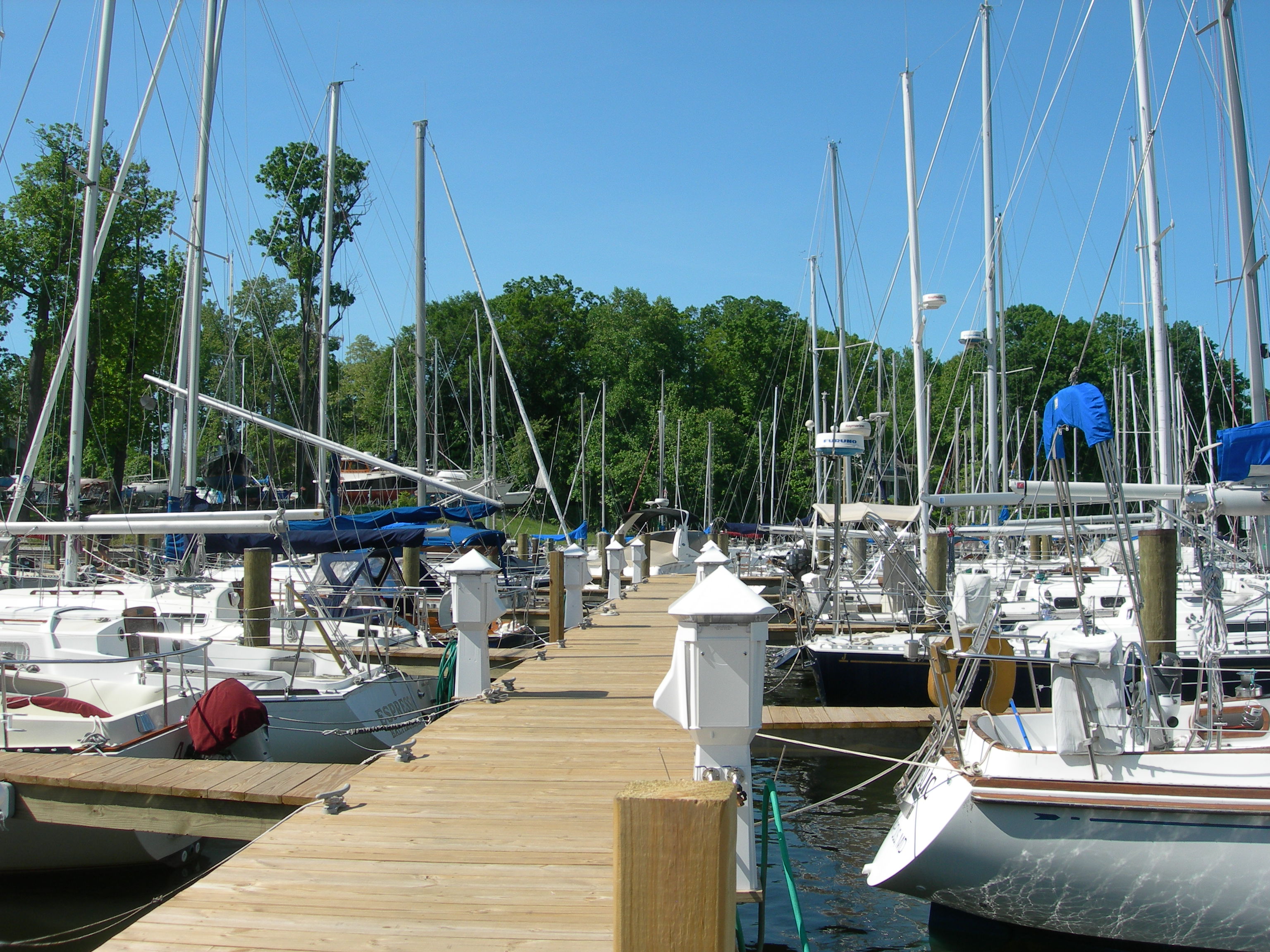 Whitehall Marina, Annapolis, MD Photo Gallery