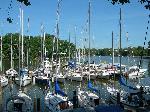 Whitehall Marina Annapolis MD Boat Slips