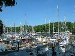Whitehall Marina Annapolis MD Boat Slips