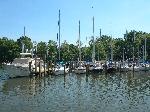 Whitehall Marina Annapolis MD Boat Slips