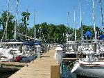 Whitehall Marina Annapolis MD Boat Slips